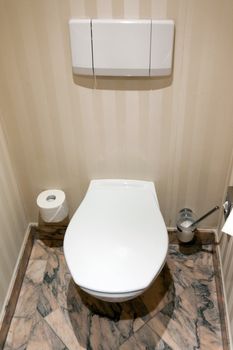 lavatory, toilet brush and a roll of toilet paper