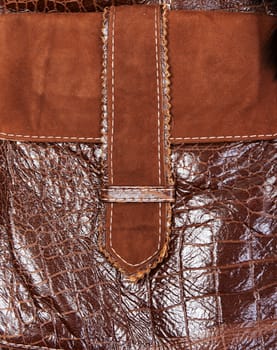 Brown pocket of the animal's skin with a chamois