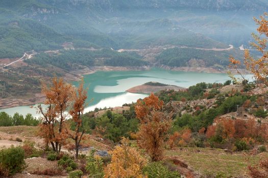 Views of the azure mountain lake through the pine forest