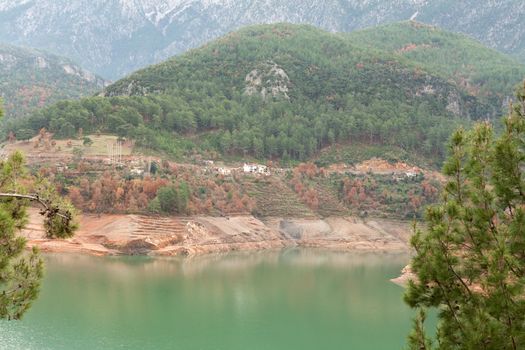 Views of the azure mountain lake through the pine forest