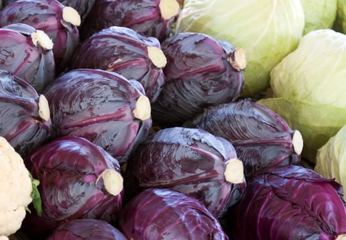 Blue and white cabbage packed background in the bazaar