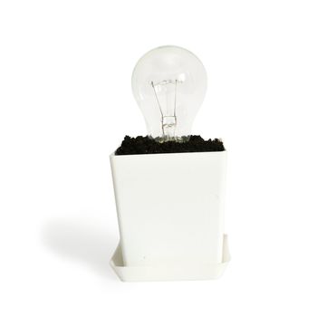 An image of a lightbulb in a pot