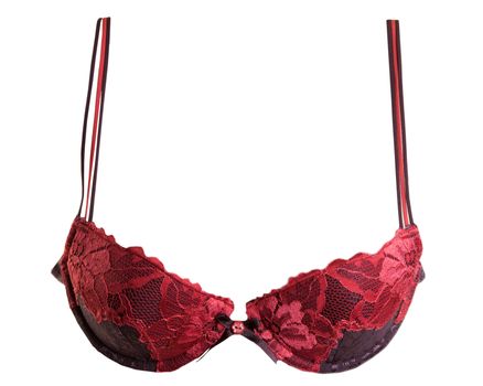 Bra with a red ornament in the shape of flowers on a white background