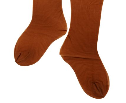 brown tights female isolated on a white background