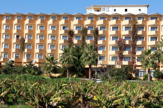 building with balconies and a palm tree