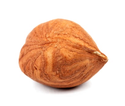 one hazelnut closeup isolated on white background