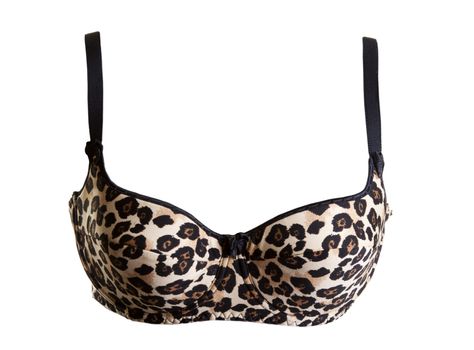 black bra isolated on a white background