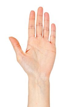 woman's hand, palm outstretched on a white background