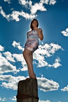Glamour slim girl posing on an old wooden post against the sky