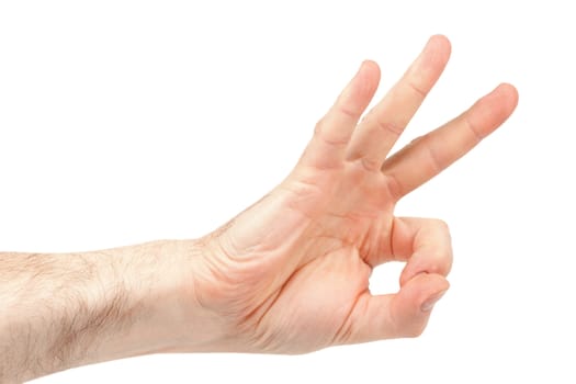 Hairy Men Hand shows ok on a white background