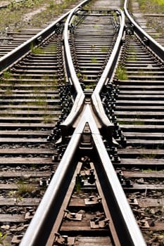 grass between the sleepers on the railway