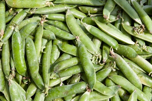 background of ripe green peppers pea