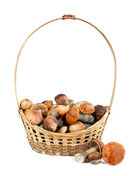 Basket with mushrooms isolated on white background