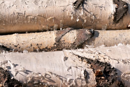 three birch logs horizontally background