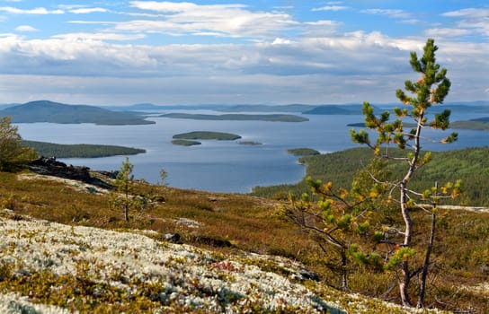 landscape, view of the northern lake from a high hill, tree