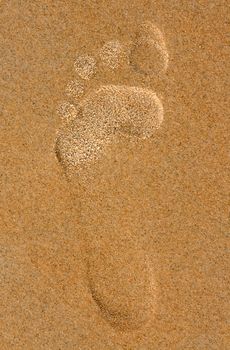 footprint in the sand on the beach, the Andaman Sea
