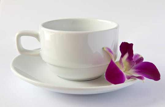 empty white cup and saucer and an orchid on a light background