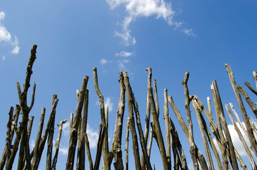 Fence made of tree branches on blue cloudy sky background.