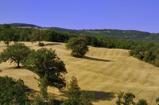 A country landscape in sumer time in  Tuscany