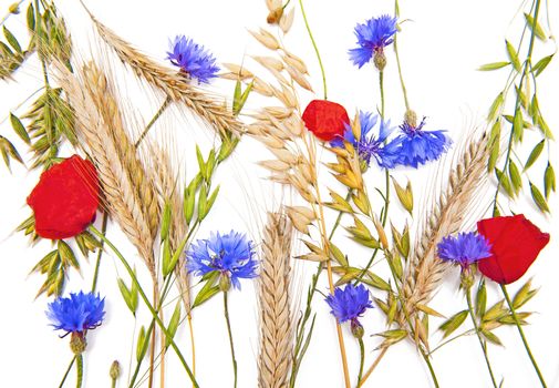 Background made on flowers and cereals