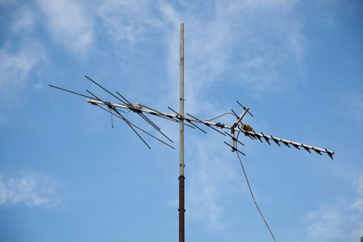 Antenna for the TV. A single pole. Back into the sky.
