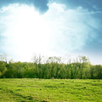 sky grass field nature background