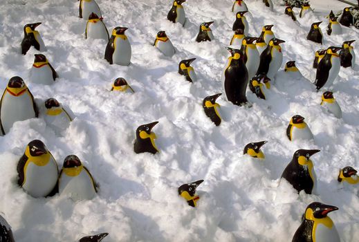 One plastic penguin among many in the snow is marching in a different direction.