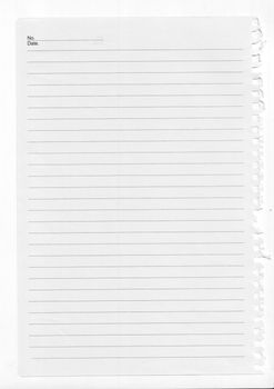 tore page from a notebook, isolated on white.