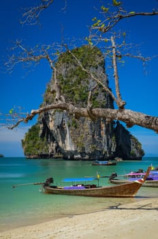 Phra Nang beach and island landscape view with tree and boat, Krabi, Thailand