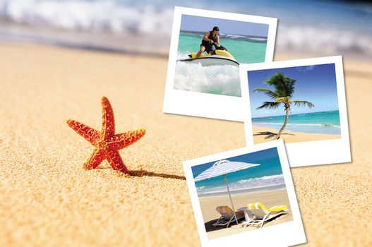 sea, starfish, sea outdoor with hlidays pics