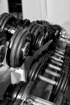 Weight training equipment in fitness club