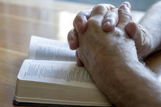 weathered old man's hands clasped in prayer over open Bible