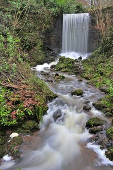 A waterfall in Welsh woodland. Long exposure has softened water and created motion blur on leaves. Space for text to the left of the image.