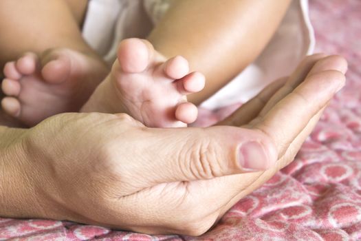 Baby's foot in mother hands.