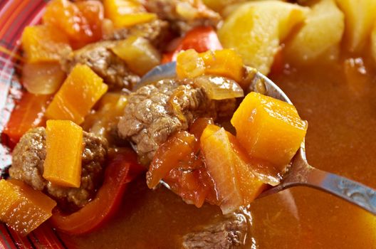 Traditional Bulgarian soup chorba.shurpa soup
