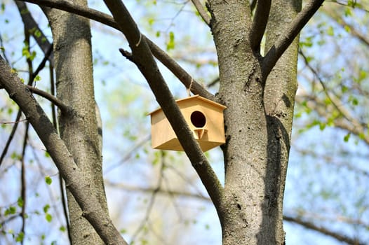 wooden birdhouse on the tree