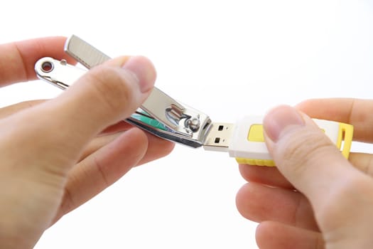 Nail clippers cutting the USB drive on white background.