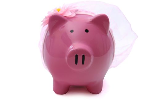 Front view pink piggy bank on white background.