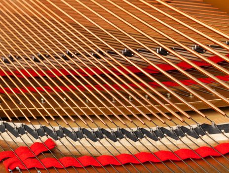 Detailed interior of grand piano showing the strings, pegs, sound board with focus close to the camera viewpoint