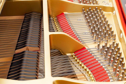 Detailed interior of grand piano showing the strings, pegs, sound board with focus sharp across image