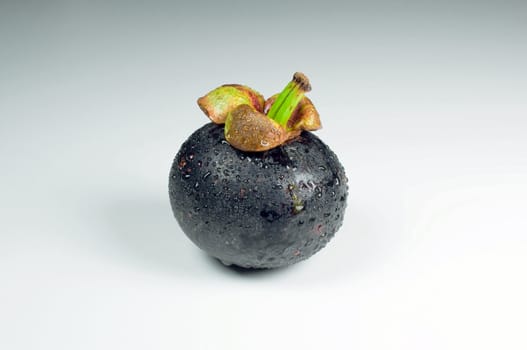 mangosteen on white background