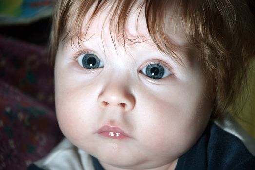 Close-up portrait of a young boy looking at camera.