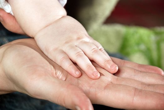 Little baby hand on the palm mother.