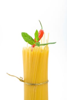 Golden raw dried Italian pasta with other ingredients on white background.