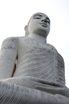 Bottom view of a historic buddha statue in Sri Lanka
