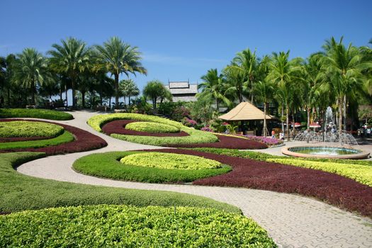 Tropical Garden in Pattaya, Thailand