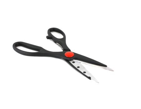 Kitchen scissors