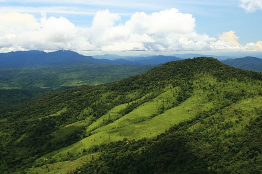 Tropical Mountains