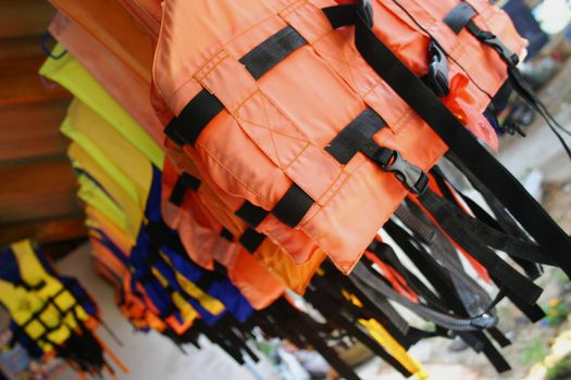 Life Vest