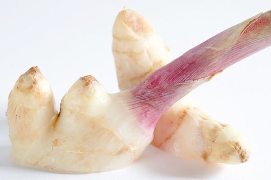 close up of  fresh  ginger root on white